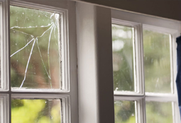 Window