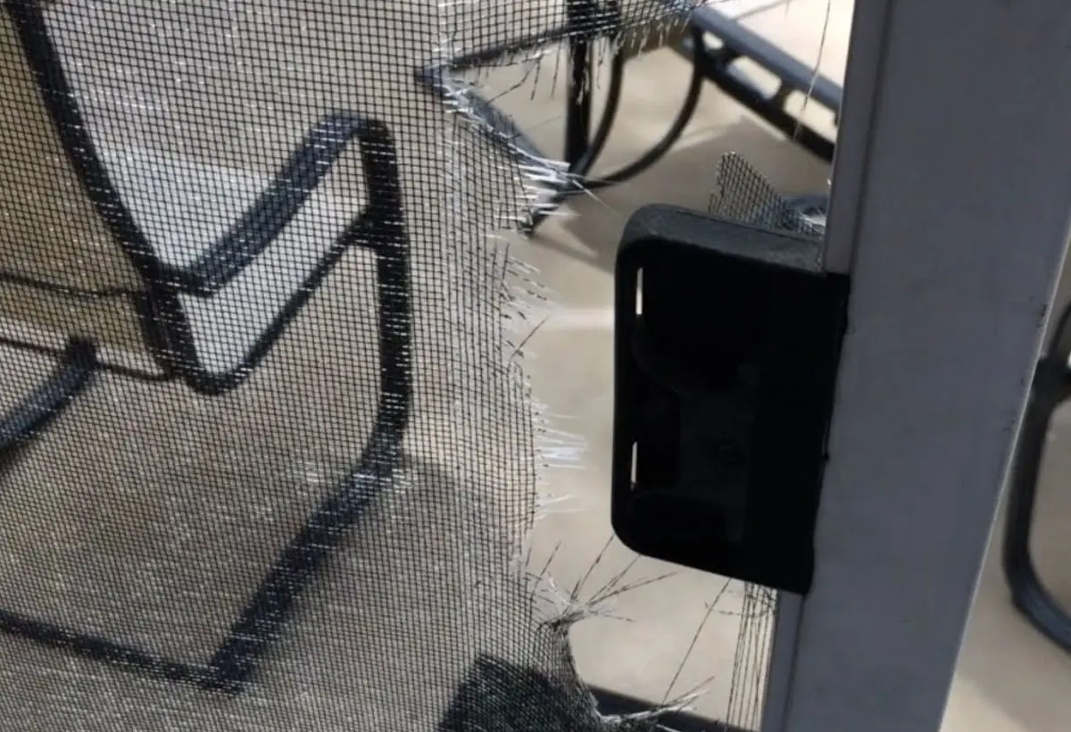 Window